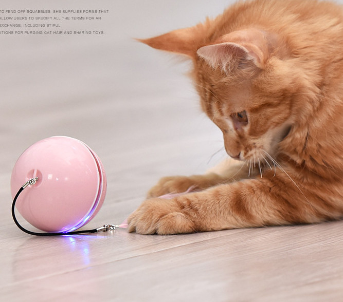 шарик игрушки кота usb