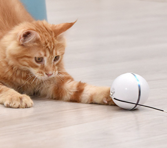 шарик игрушки кота usb
