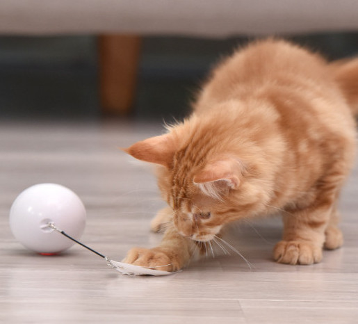 шарик игрушки кота usb