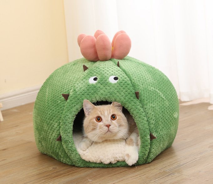 большая пещера кровати кота