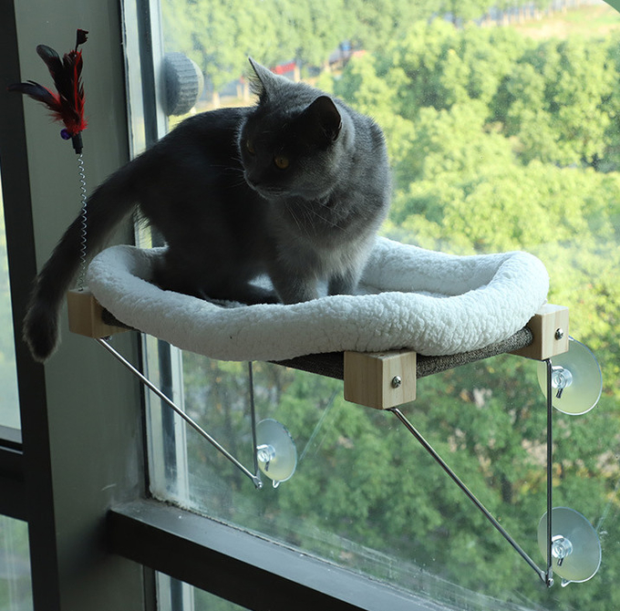самый лучший гамак окна кота