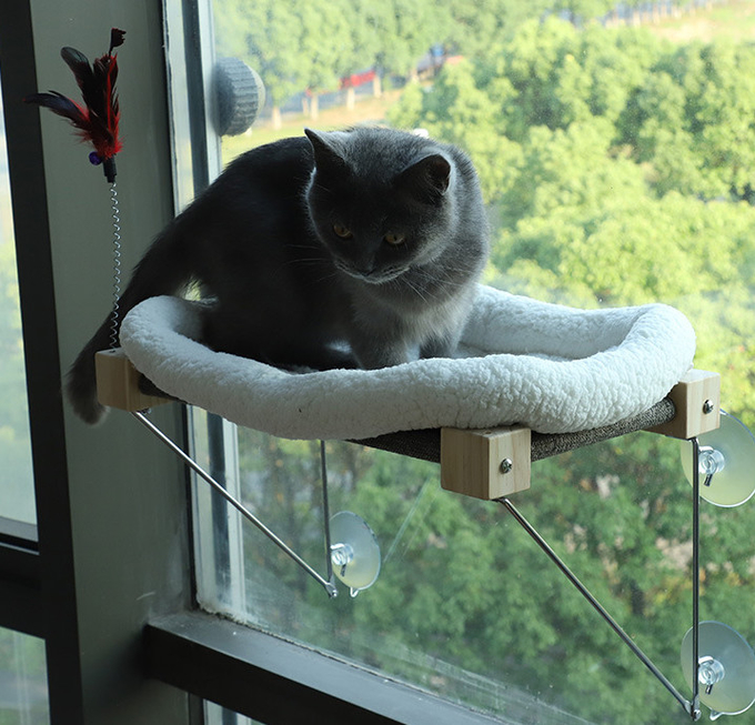 окунь окна кота